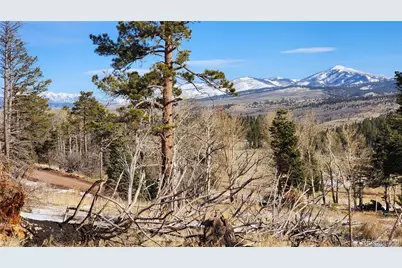 449 Duckworth Drive, Fort Garland, CO 81133 - Photo 12