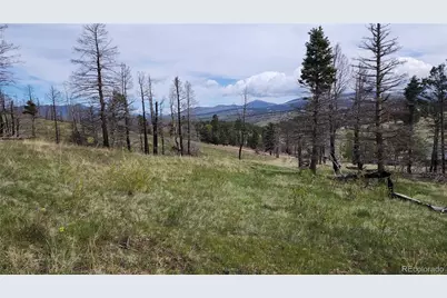 449 Duckworth Drive, Fort Garland, CO 81133 - Photo 2