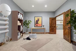 2553 Saddleback Ct, Castle Rock, CO 80104 - Photo 24
