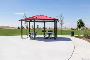 9918 Danube Ct, Commerce City, CO 80022 - Photo 28