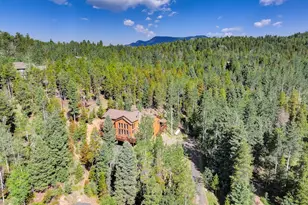 11549 Nichols Way, Conifer, CO 80433 - Photo 18