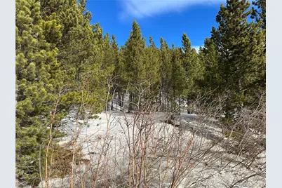 691 Alice Road, Idaho Springs, CO 80452 - Photo 2