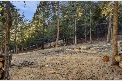 30908 Isenberg Lane, Evergreen, CO 80439 - Photo 48