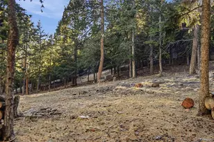 30908 Isenberg Ln, Evergreen, CO 80439 - Photo 48