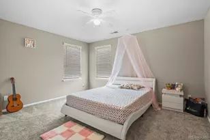 13072 Norway Maple St, Parker, CO 80134 - Photo 30