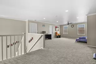 13072 Norway Maple St, Parker, CO 80134 - Photo 22