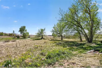 10310 Tall Oaks Circle, Parker, CO 80134 - Photo 44