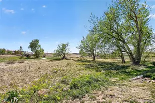 10310 Tall Oaks Cir, Parker, CO 80134 - Photo 44