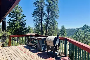 362 Raven Dr, Bailey, CO 80421 - Photo 16