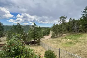 362 Raven Dr, Bailey, CO 80421 - Photo 28