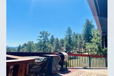 362 Raven Drive, Bailey, CO 80421 - Photo 18