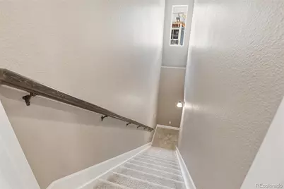 5117 Coltin Trail, Castle Rock, CO 80104 - Photo 30