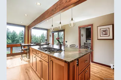32142 Black Widow Drive, Conifer, CO 80433 - Photo 24