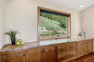 10562 Sandstone Run, Littleton, CO 80125 - Photo 20