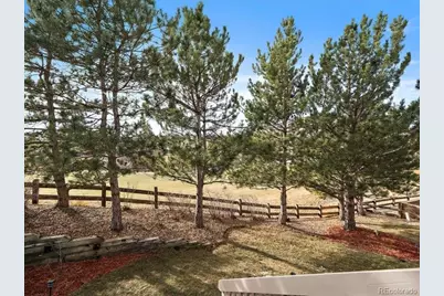 1388 Rosemary Drive, Castle Rock, CO 80109 - Photo 40