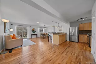 3224 S Elm St, Denver, CO 80222 - Photo 8