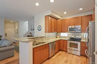 2721 Alton Street, Denver, CO 80238 - Photo 14