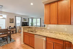 2721 Alton St, Denver, CO 80238 - Photo 16