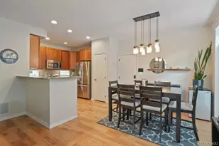 2721 Alton St, Denver, CO 80238 - Photo 10