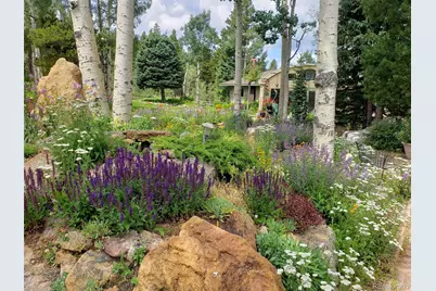 509 Norton Drive, Black Hawk, CO 80422 - Photo 6