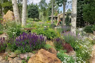 509 Norton Dr, Black Hawk, CO 80422 - Photo 6