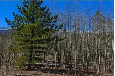 90 Shadows Drive, Breckenridge, CO 80424 - Photo 20