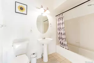 3887 Ute Mountain Trail, Castle Rock, CO 80109 - Photo 22