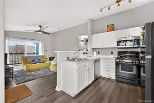 8406 Pebble Creek Way, Highlands Ranch, CO 80126 - Photo 10