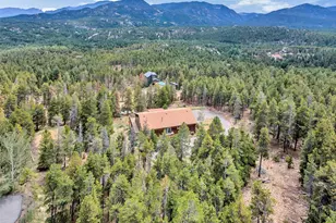 255 Divide View Dr, Golden, CO 80403 - Photo 40