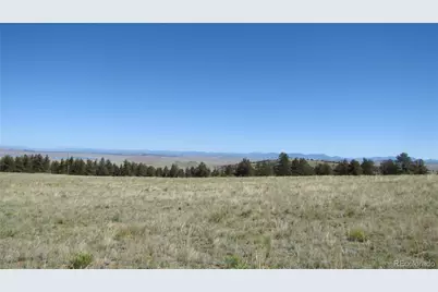 1198 Wagon Wheel Road, Hartsel, CO 80449 - Photo 6