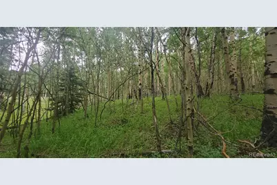 Lot 6882 Donna Road, Fort Garland, CO 81133 - Photo 10