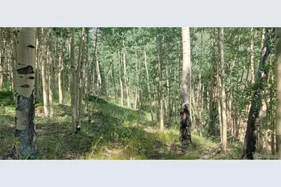 Lot 6882 Donna Road, Fort Garland, CO 81133 - Photo 12