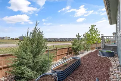 3977 Happy Hollow Drive, Castle Rock, CO 80104 - Photo 34