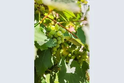 2307 N Greenwood, Pueblo, CO 81003 - Photo 34