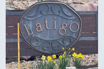 5071 Diamond Sky Road, Castle Rock, CO 80108 - Photo 48