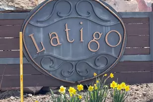 5071 Diamond Sky Rd, Castle Rock, CO 80108 - Photo 48