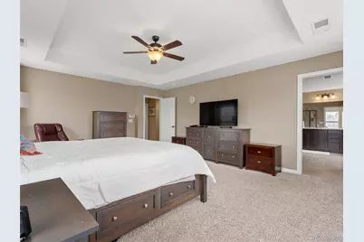 3919 Desert Ridge Circle, Castle Rock, CO 80108 - Photo 14