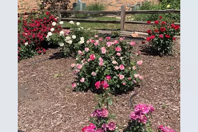 3354 S Kendall Street, Denver, CO 80227 - Photo 28