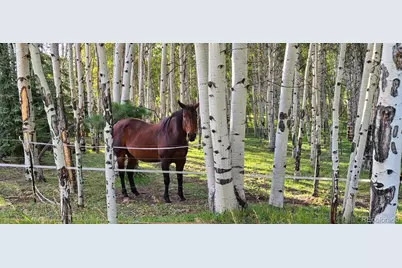 2230 County Road 72, Bailey, CO 80421 - Photo 36