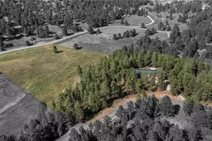 20065 Spring Creek Rd, Buffalo Creek, CO 80425 - Photo 6