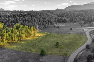 20065 Spring Creek Rd, Buffalo Creek, CO 80425 - Photo 38