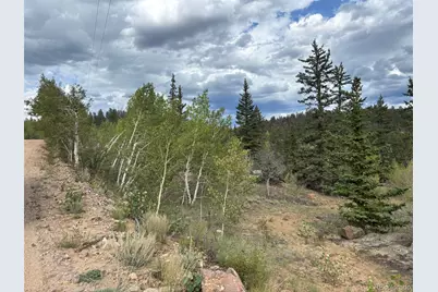 150 Ambush Lane, Jefferson, CO 80456 - Photo 16