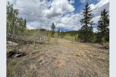 150 Ambush Lane, Jefferson, CO 80456 - Photo 18