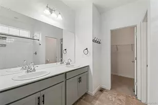 1764 Branching Canopy Dr, Windsor, CO 80550 - Photo 16