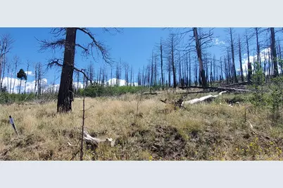 Lot 1064 Reed Lane, Fort Garland, CO 81133 - Photo 2