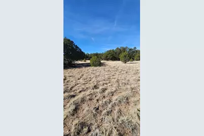 312 16th Trail, Cotopaxi, CO 81223 - Photo 26