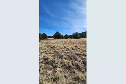 312 16th Trail, Cotopaxi, CO 81223 - Photo 12