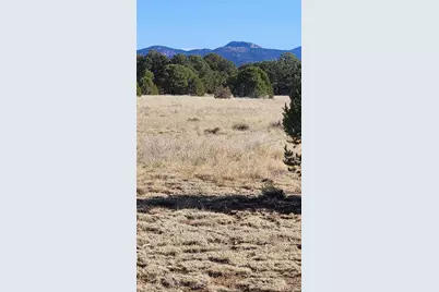 312 16th Trail, Cotopaxi, CO 81223 - Photo 24