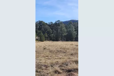 312 16th Trail, Cotopaxi, CO 81223 - Photo 20