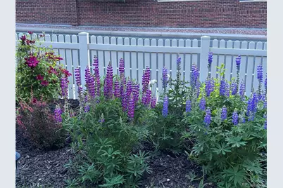 11893 Wyandot Circle, Westminster, CO 80234 - Photo 46